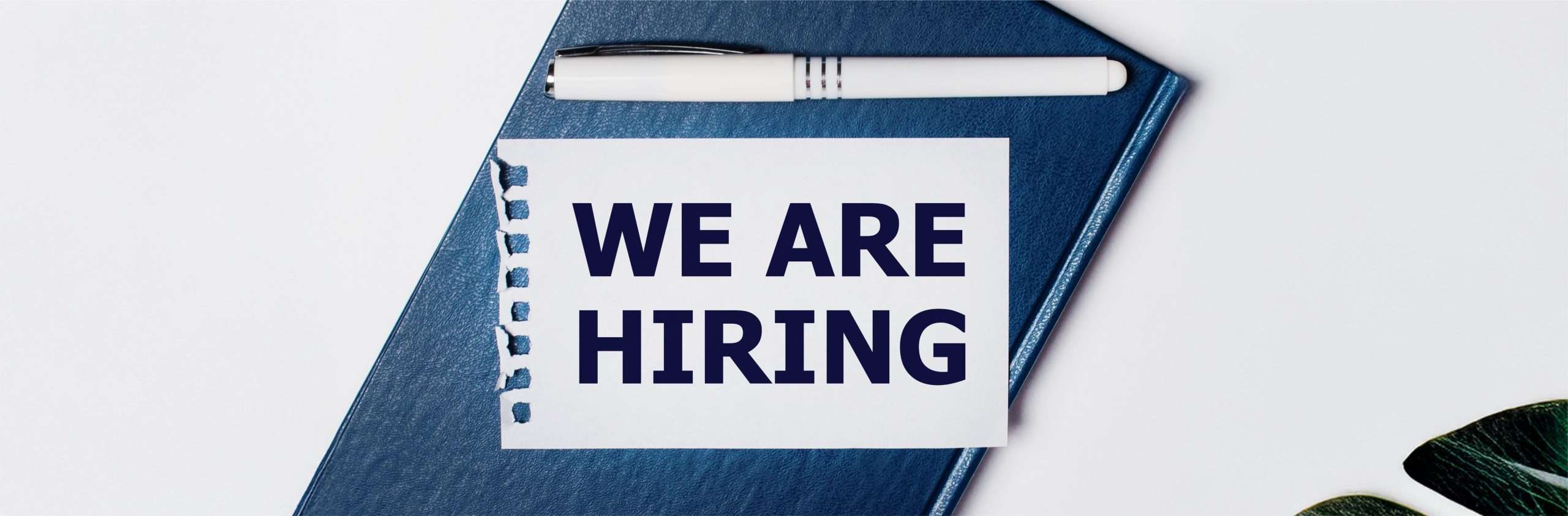 We Are Hiring We Are Hiring